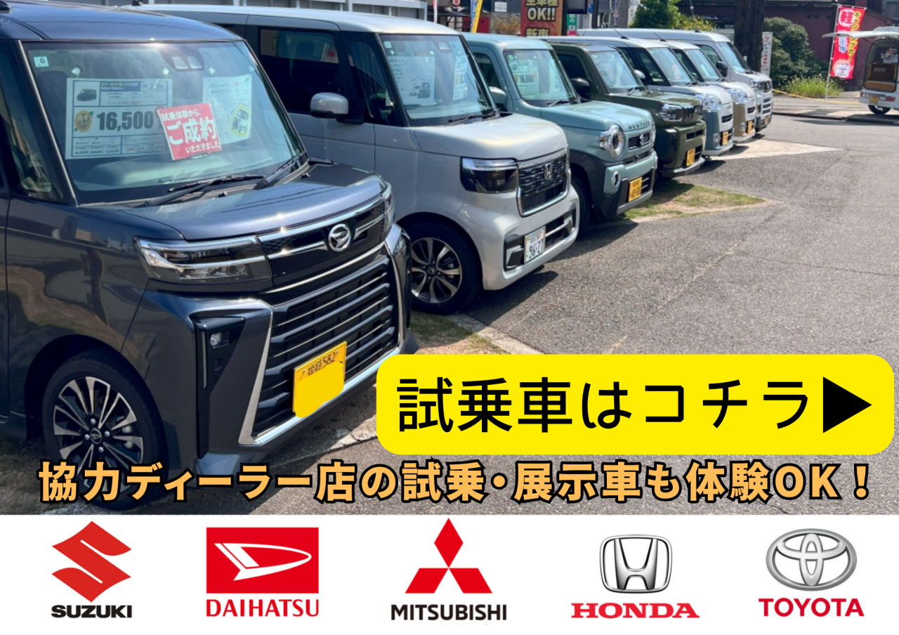 展示・試乗OK (1)